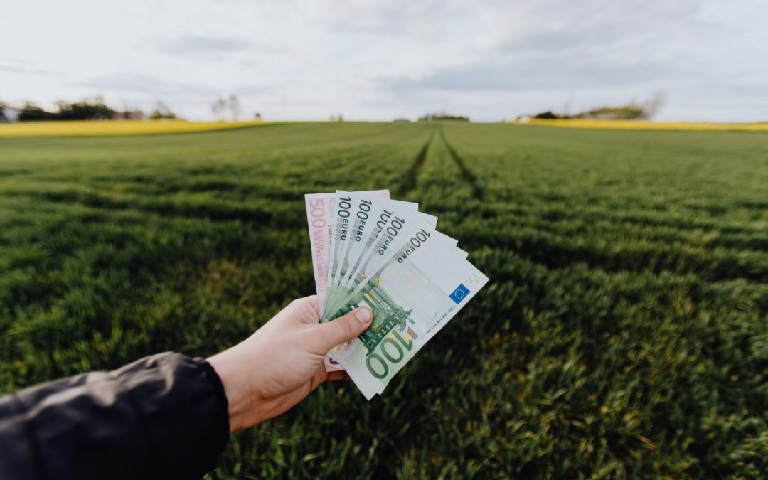 Ako investovať tisíc eur
