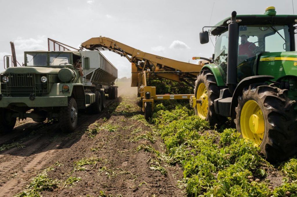 Toto je 5 výziev, ktorým dnes čelí agropotravinársky sektor