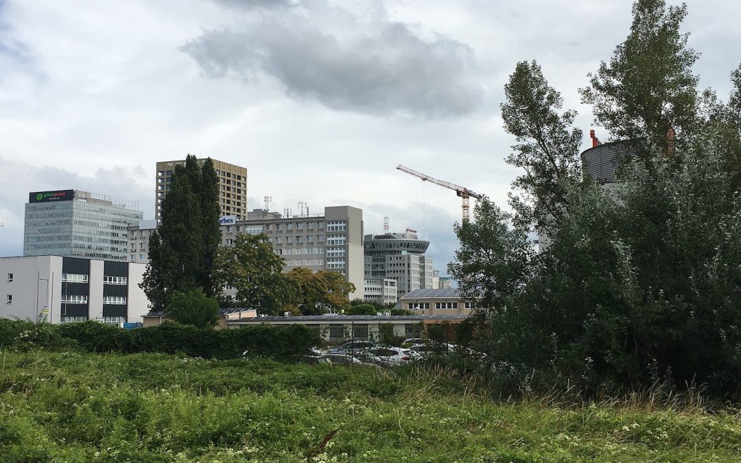 Bratislava sa dohodla s vlastníkmi pozemkov, ako má vyzerať nová štvrť na Mlynských nivách