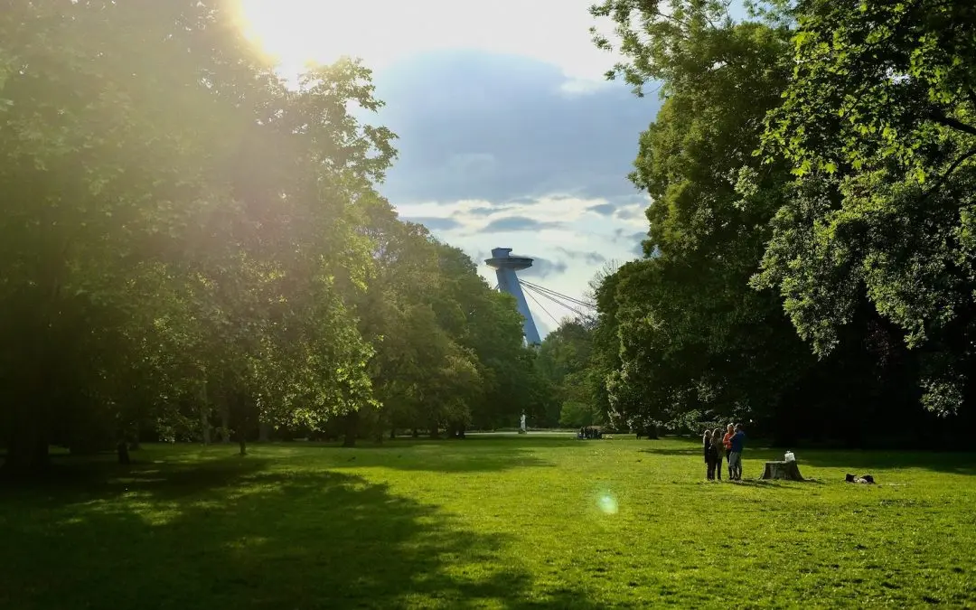 Návrh obnovy Sadu Janka Kráľa vypracuje česko- slovenský tím architektov